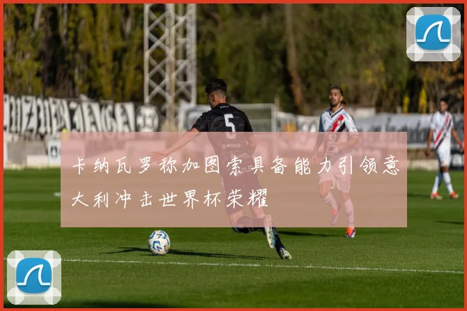 卡纳瓦罗称加图索具备能力引领意大利冲击世界杯荣耀
